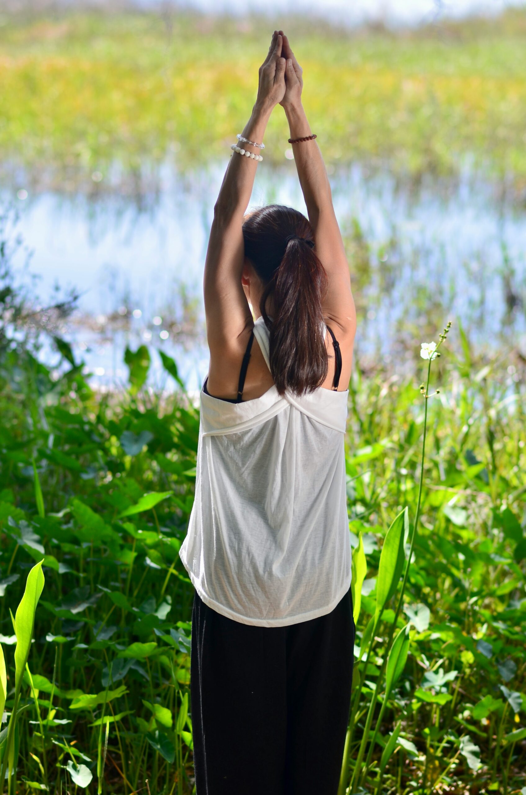 Tai Chi Walking for Beginners: The Ultimate Guide + 30-Day Challenge