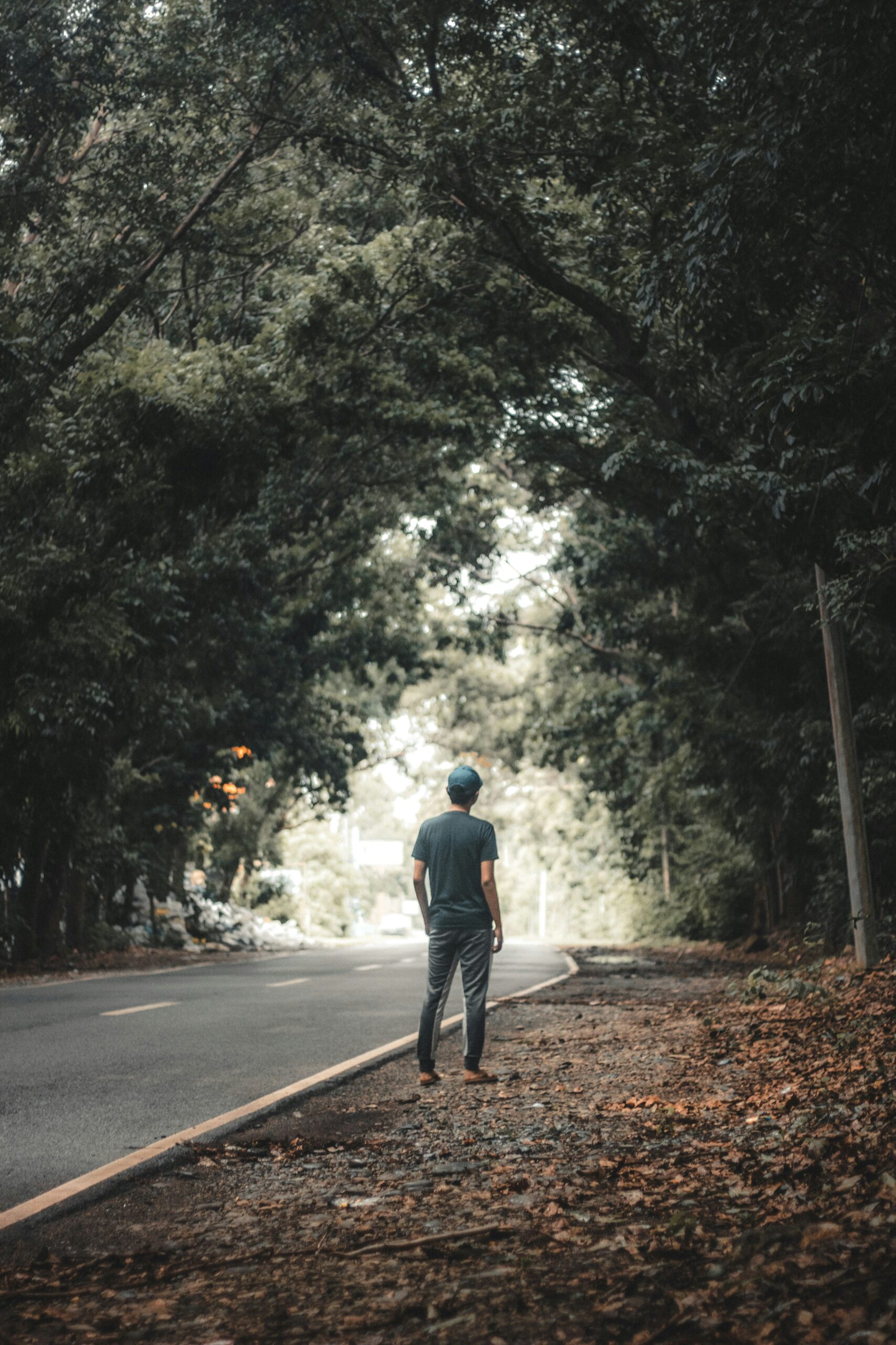 Mindful Motion vs. Pure Cardio: Is Tai Chi Walking Better Than Your Daily Stroll?