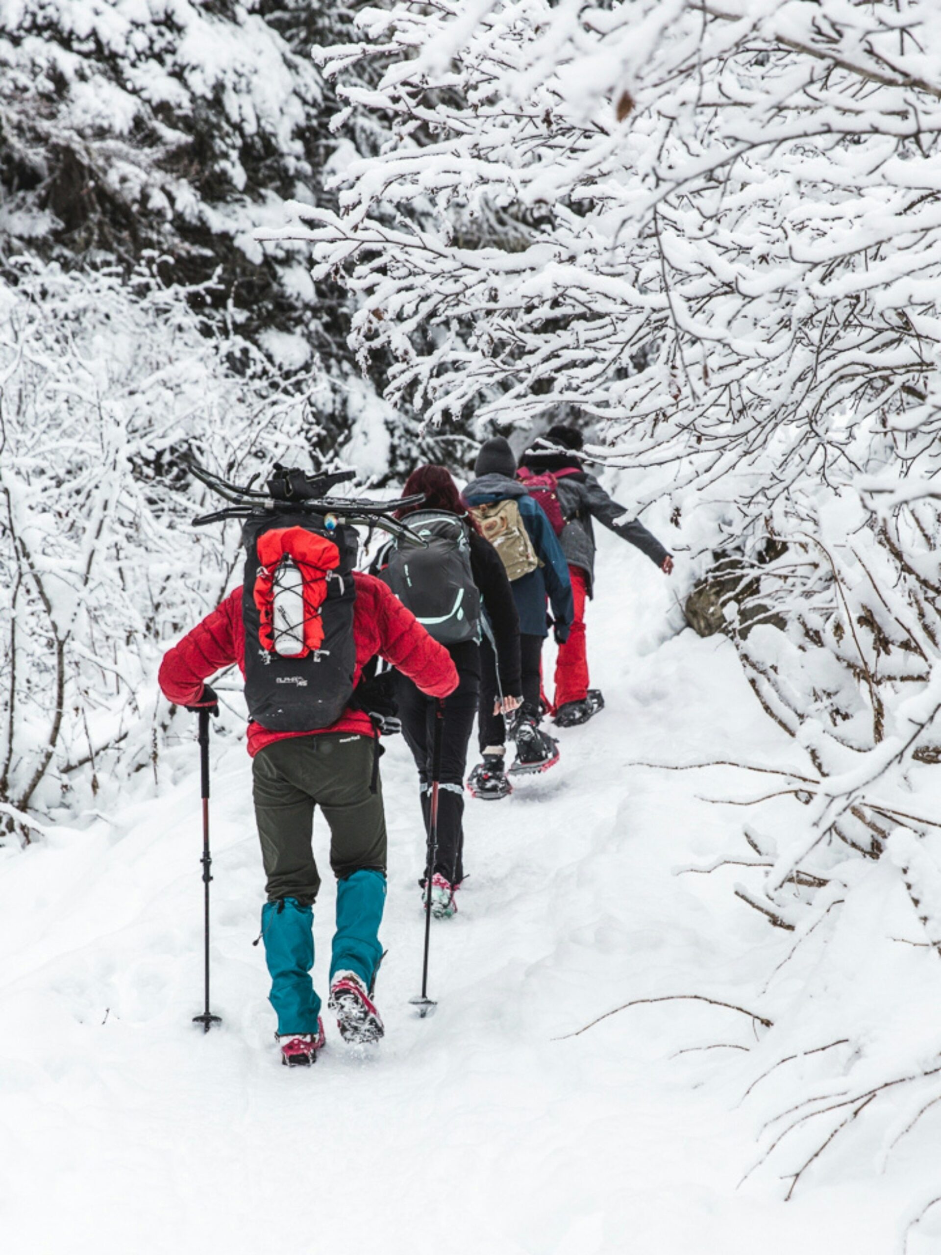 Does Exercising in Cold Weather Strengthen or Weaken Your Immune System?